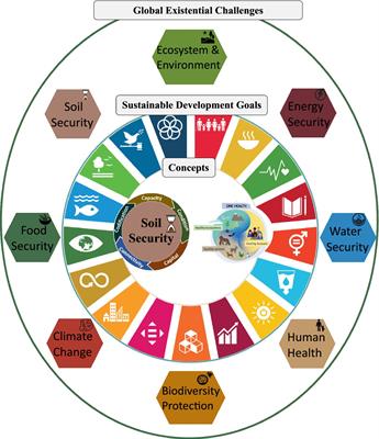 Linkages between Soil Security and One Health: implications for the 2030 Sustainable Development Goals